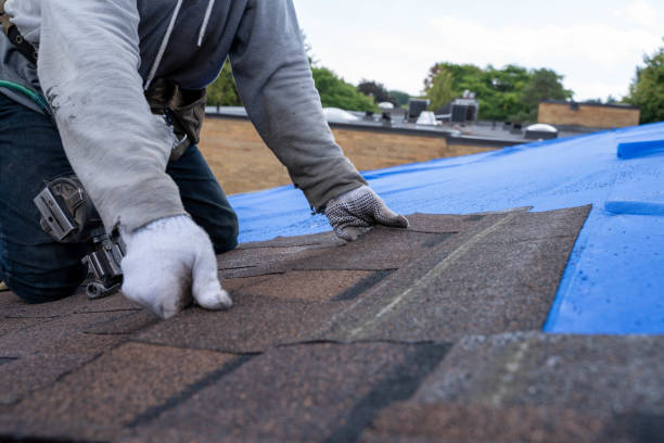 Best Roof Waterproofing Services  in Trinity, NC