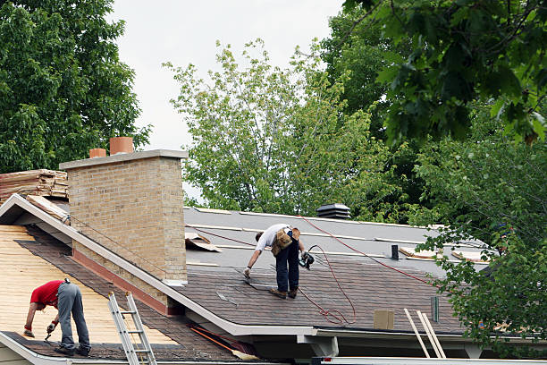 Roof Gutter Cleaning in Trinity, NC