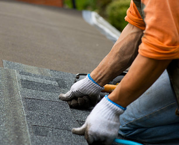 Best Roofing Contractor Near Me  in Trinity, NC