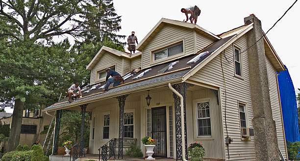 Best Roof Leak Repair  in Trinity, NC