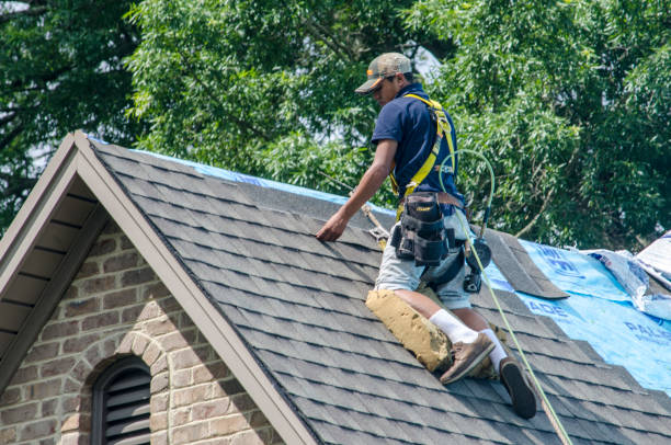 Quick and Trustworthy Emergency Roof Repair Services in Trinity, NC